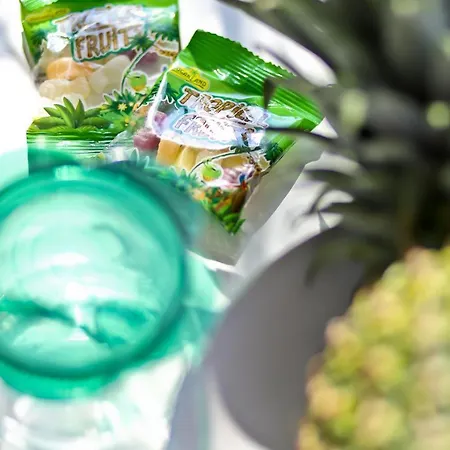 Monteurapartments In Zentraler Lage