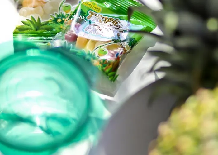 Monteurapartments In Zentraler Lage